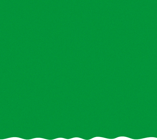 preto-radoma-vegan-background-mobile